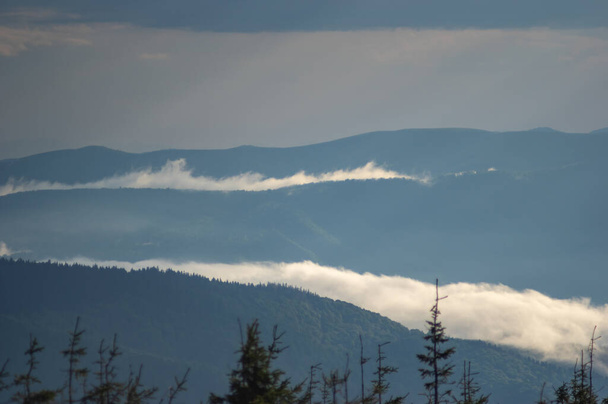 Mlha na horském hřebeni v Karpatech. Krásná krajina - Fotografie, Obrázek
