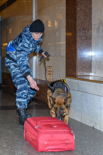 La oficial de policía con un perro pastor alemán entrenado huele drogas o bombardea en el equipaje. Estación de metro
. - Foto, imagen