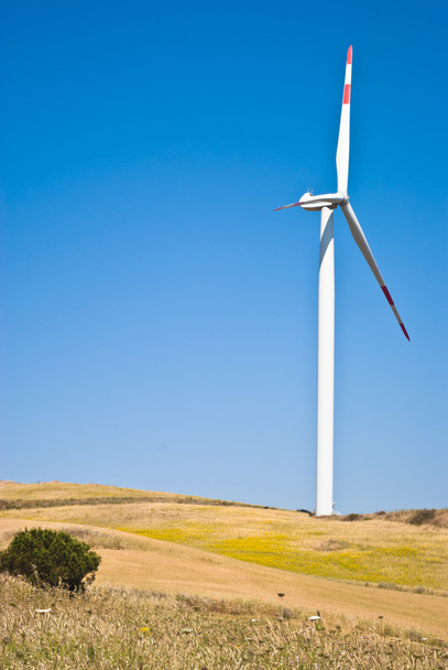 Wheatfield with windmills - Photo, Image