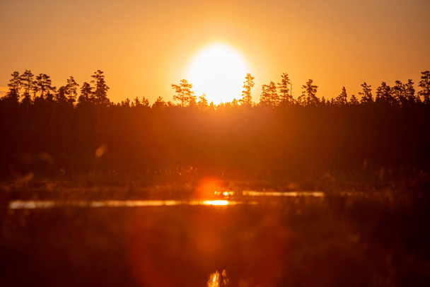 Захід сонця на озері або болоті. - Фото, зображення