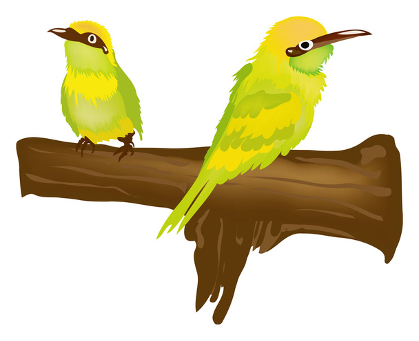 Aves verdes
 - Vector, Imagen