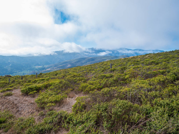 Foggy Costal Muir Sahili yakınlarındaki tepeleri kaplıyor. - Fotoğraf, Görsel