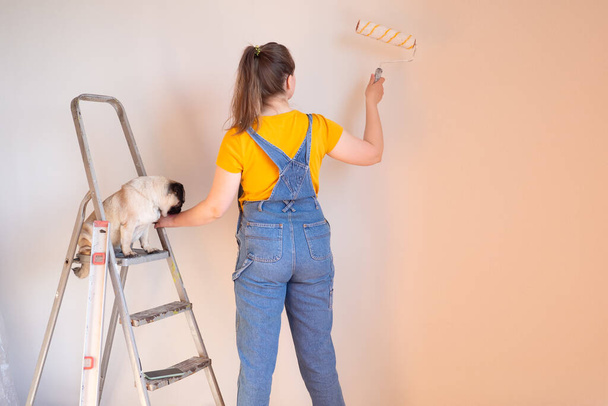 Happy woman makes repairs in her apartment with her funny pug dog. happiness in anticipation of a new home and moving. independent single life with a pet  - Foto, immagini