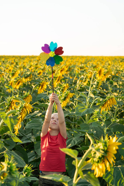 Small blond boy stands among field of sunflowers with windmill toy. Raised high above his head - Φωτογραφία, εικόνα