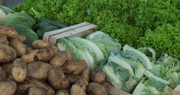 Νωπά λαχανικά σε πάγκους στη νότια Γαλλία. - Πλάνα, βίντεο