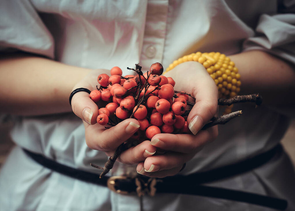 La mujer sostiene un remo rojo maduro en sus manos. Cosecha otoñal de bayas. Comida ecológica natural. Medicina alternativa. - Foto, Imagen