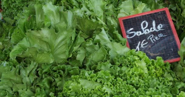 Čerstvá zelenina na stáncích na trhu v jižní Francii. - Záběry, video