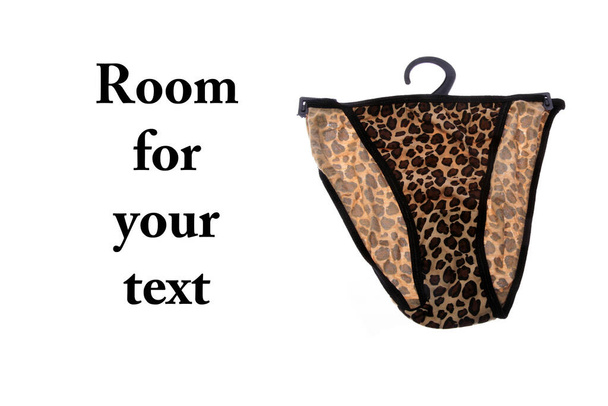 Panties. Women's Panties. Leopard Pattern Panties. Don't get your Panties in a Bunch. isolated on white. Room for text. Clipping path. Women's panties with leopard pattern. Isolated on white. - Photo, Image