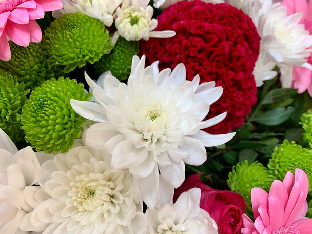 Diverses fleurs colorées - Photo, image