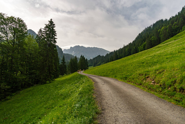 Όμορφη κυκλική διαδρομή πεζοπορίας κοντά στο Schoenenbach στο Vorarlberg, Αυστρία - Φωτογραφία, εικόνα