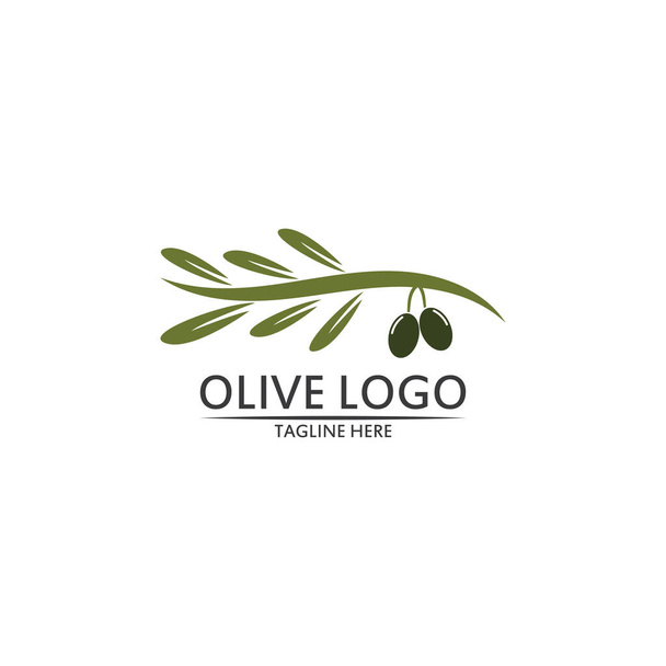 Оливковий шаблон логотипу Векторний дизайн
 - Вектор, зображення