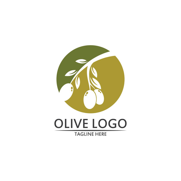 Оливковий шаблон логотипу Векторний дизайн
 - Вектор, зображення