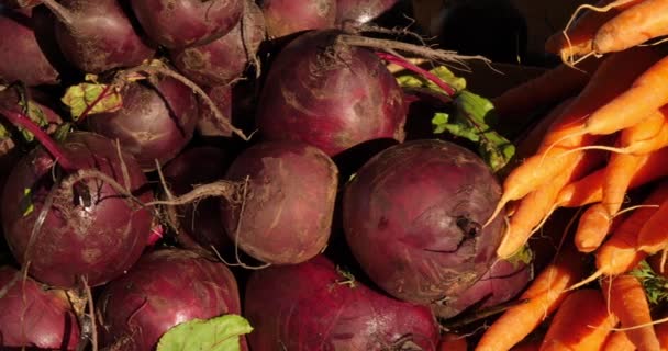 Νωπά λαχανικά σε πάγκους σε αγορά της Νότιας Γαλλίας. Καρότα και τεύτλα - Πλάνα, βίντεο