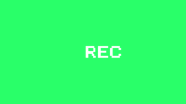 Animation white text REC on green background. - Filmati, video