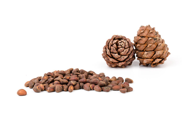 Cedrové ořechy ve skořápce s neotevřenými kužely izolované na bílém pozadí - Fotografie, Obrázek