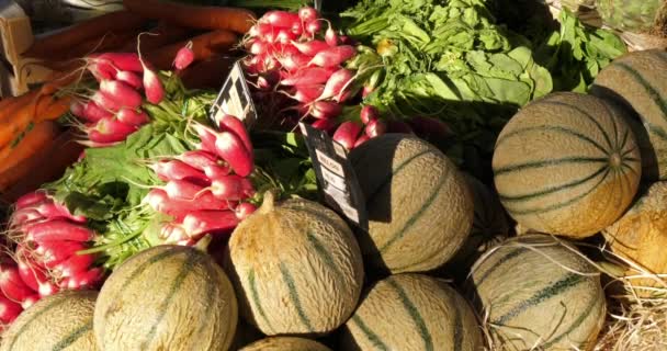 Νωπά λαχανικά σε πάγκους σε αγορά της Νότιας Γαλλίας. Πεπόνια, σαλάτες ραπάνια και καρότα - Πλάνα, βίντεο