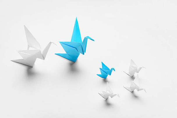 Origami birds on light background. Concept of uniqueness - 写真・画像