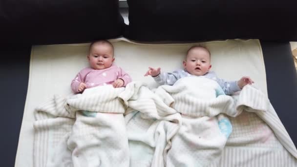 Urocze sześciomiesięczne bliźniaczki w łóżku w domu. - Materiał filmowy, wideo