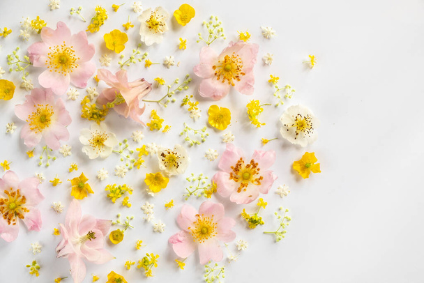 花の背景。フラットレイアウト、トップビュー。パステルカラーの美しい創造的なレイアウト - 写真・画像