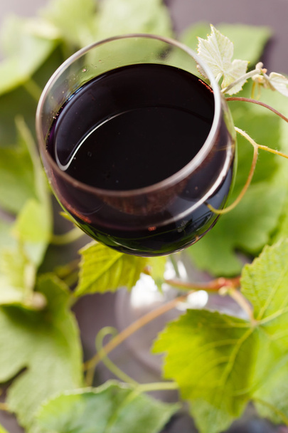 Red wine in glass - Фото, зображення