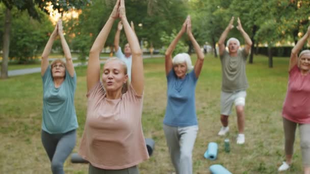 Tilt up shot van een groep van oudere mannen en vrouwen in sportkleding beoefenen yoga buiten in het park met vrouwelijke coach - Video