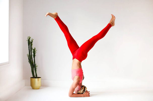 Full body of focused slim female female performing handstand near wall while practicing yoga in light room by the window - Photo, Image