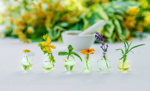 Huiles essentielles et extraits de plantes en petites bouteilles. Concentration sélective. nature. - Photo, image