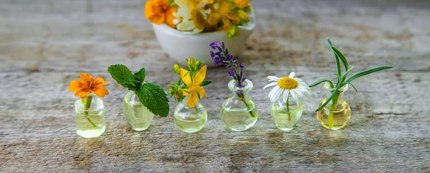 Aceites esenciales y extractos de hierbas en frascos pequeños. Enfoque selectivo. naturaleza. - Foto, imagen