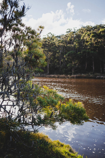Australian landscape at the Browns River near Kingston Beach in Southern Tasmania in winter - Foto, Imagem