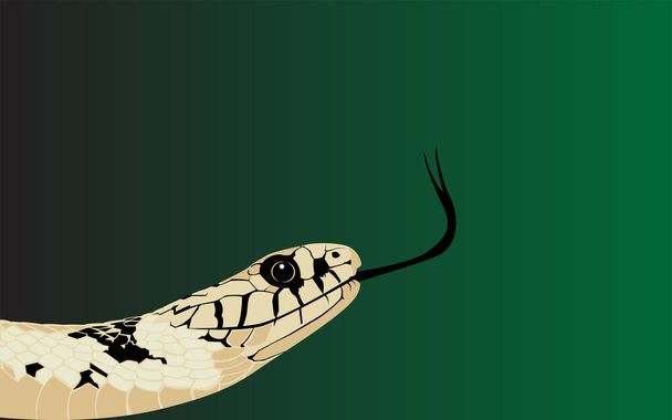 Világ kígyó nap vektor illusztráció, plakát, banner, háttér, könnyen szerkeszthető, eps 10 - Vektor, kép