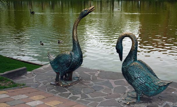Скульптура двух лебедей в Киевском городском парке на озере - Фото, изображение