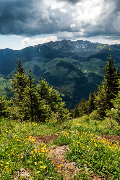 Näkymä kukkulalta Ohniste Low Tatras vuoristossa, Slovakia. Huippu Dumbier taustalla - Valokuva, kuva