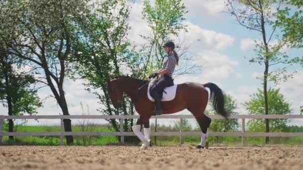Giovane ragazza su una baia scura a cavallo a cavallo lungo la recinzione di legno nel terreno sabbioso - Filmati, video