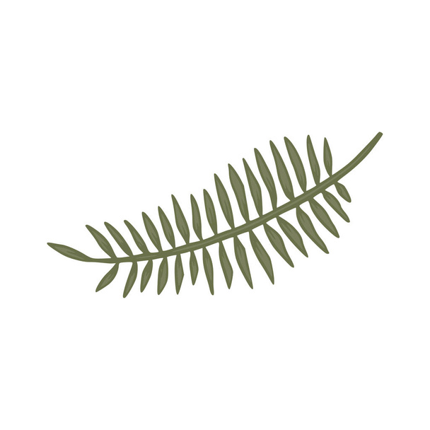 Tropical palm leaf nature plant element. - Vector, Image