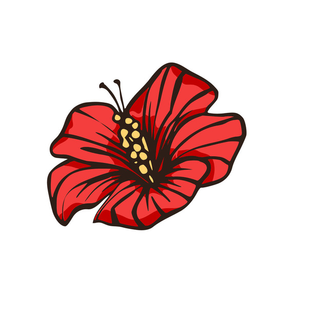 Κόκκινο λουλούδι ιβίσκος Χαβάη φύση καλοκαίρι εικονογράφηση.  - Διάνυσμα, εικόνα