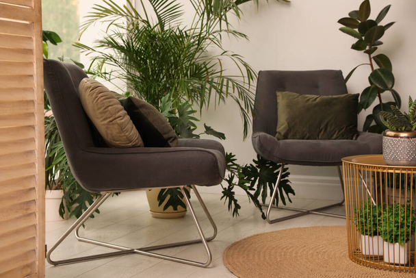 Lounge area interior with comfortable armchairs and houseplants - Foto, Imagem