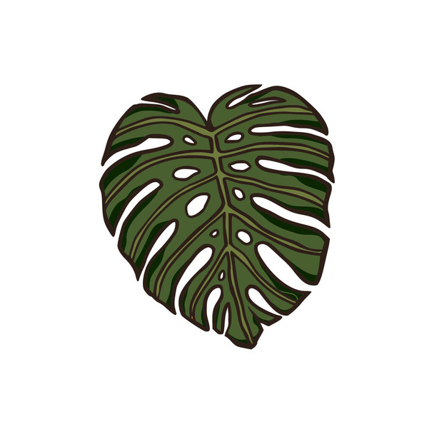 Monstera leaf jungle plant exotic tropical illustration.  - Vektor, kép