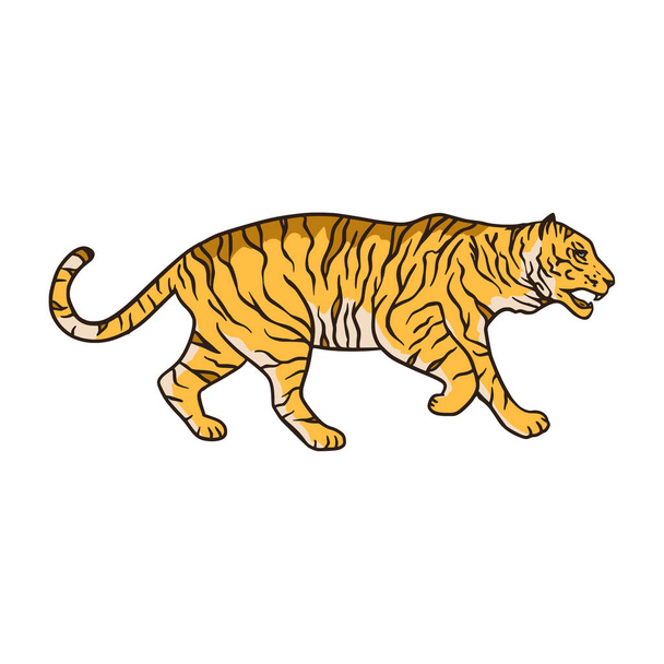 Bengaalse tijger cartoon jungle safari tropische dier illustratie.  - Vector, afbeelding