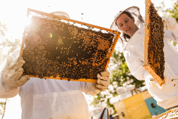 Οι μελισσοκόμοι στο μελισσοκομείο. Οι μελισσοκόμοι δουλεύουν με μέλισσες και κυψέλες στο μελισσοκομείο.. - Φωτογραφία, εικόνα