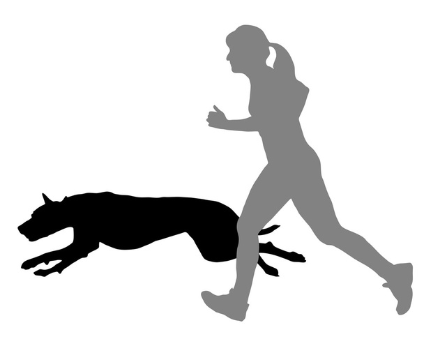 Woman jogs with dog - Vector, Image