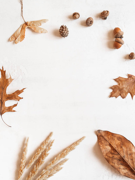 Frame from various fall leafs and acorns and other parts of the trees on white background. Top view. copy space. Minimal autumn composition - Fotó, kép