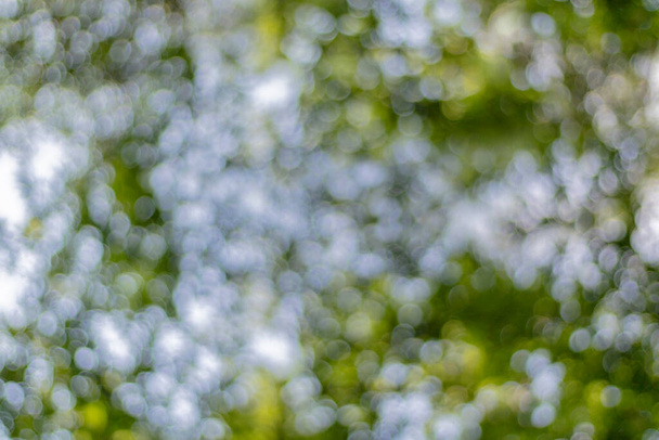 Zelený list bokeh ze slunce svítí venkovním lesem. Pozadí Bokeh - Fotografie, Obrázek