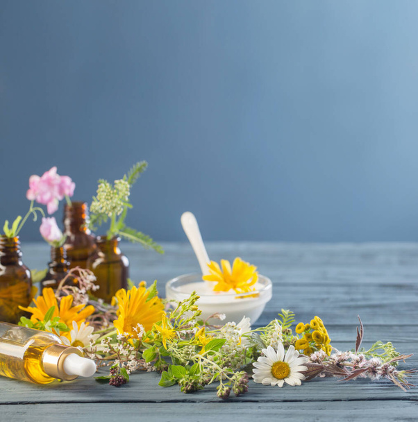 natural cosmetics from herbal ingredients on  blue background - Fotó, kép
