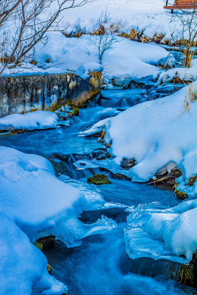 Одеяло снега падает на парк и оседает на земле. Провинциальная зона отдыха Биг Хилл Спрингс. Альберта, Канада - Фото, изображение