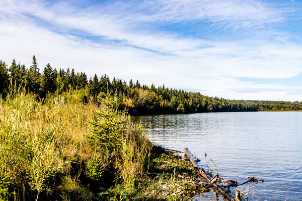 Κατά μήκος της ακτής της λίμνης. Gleniffer Lake Provincial Recreation Area, Αλμπέρτα, Καναδάς - Φωτογραφία, εικόνα