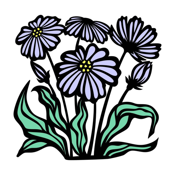 Purple daisies and green leaves. Buds and blossoming flowers with black outline on a white background. The theme of nature, plants. Vector illustration. - Vector, Image