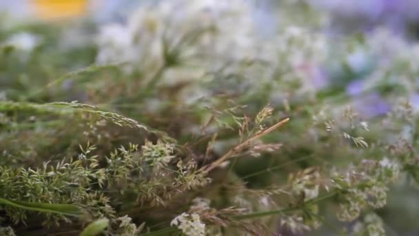 A mulher forma uma grinalda de flores de prado. Solstício tradições de férias - Filmagem, Vídeo