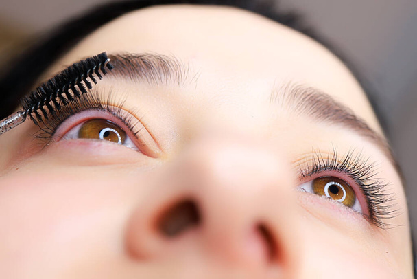 lähikuva mallin silmän kanssa curl värekarvojen työ tehdään laminointi silmäripsien mestari kampaa värekarvojen harjalla - Valokuva, kuva