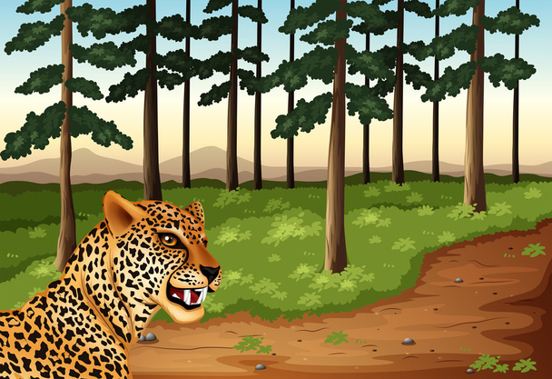 Un leopardo en el bosque
 - Vector, Imagen