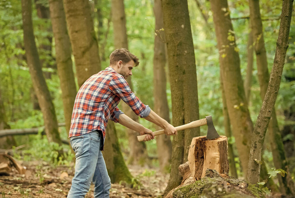 just one hit. chopping and splitting firewood with axe. lumber worker in wood. spend picnic weekend in forest. man ready for splitting wood and cutting firewood with axe. prepare to chop down tree - Фото, изображение